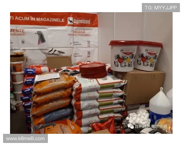 AG国际的客户服务体系，7天24小时全天候为用户提供专业支持