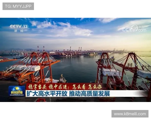 押庄龙虎押注策略全解析，助你在激烈竞争中稳占优势位置