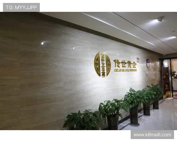 K8亚娱集团的企业文化与管理模式：推动公司持续创新与行业领先的关键因素