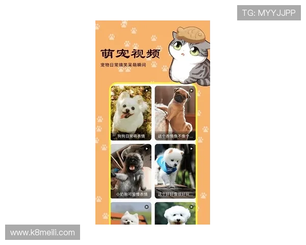 凯发登录入口手机版安全稳定,保障玩家账号信息安全,畅享无忧游戏体验 凯发登录入口手机版安全稳定,保障玩家账号信息安全,畅享无忧游戏体验